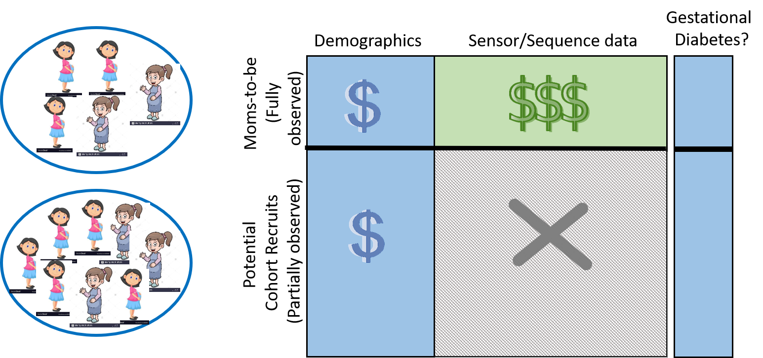 Active Feature Elicitation